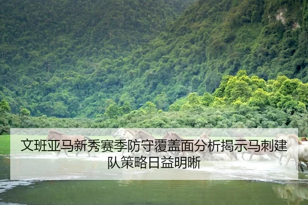 文班亚马新秀赛季防守覆盖面分析揭示马刺建队策略日益明晰