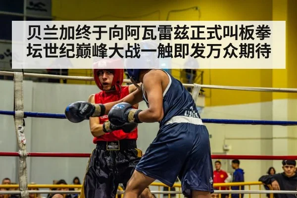 boxer in ring